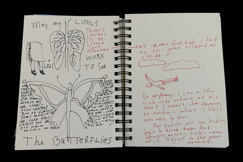 A sketchbook page featuring a drawing of lungs, a butterfly, and handwritten reflections on health and spirituality.
