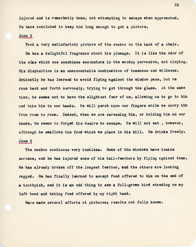 Elizabeth Van Sant transcribed letters