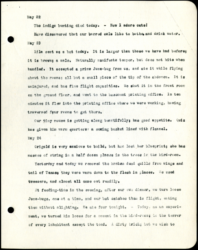 Frank H. Shoemaker typescript, 8 pages, detailing bird sightings, field trips, photography, and associated activities in Omaha, Nebraska.