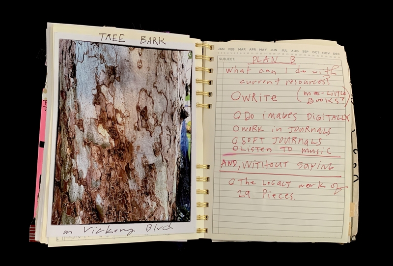 : A journal page featuring a photograph of tree bark and handwritten notes about creative projects.
