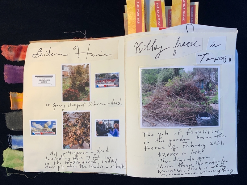 A journal spread with photos and handwritten text about plant deaths and a killing freeze in Texas.