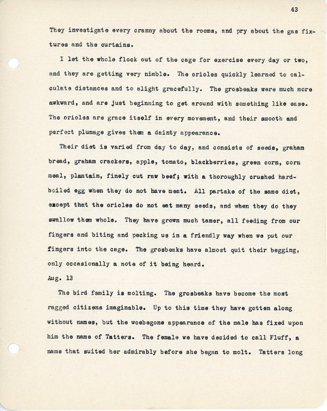 Elizabeth Van Sant transcribed letters