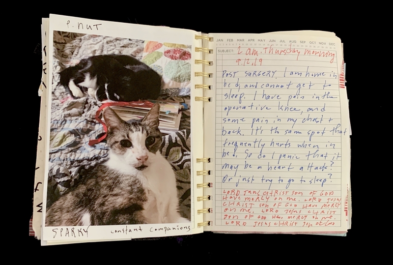 A journal page featuring a photograph of two cats and handwritten entries about post-surgery recovery.