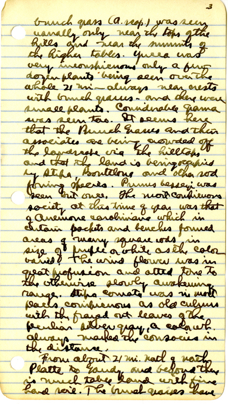 Raymond J. Pool Field Notes and Records