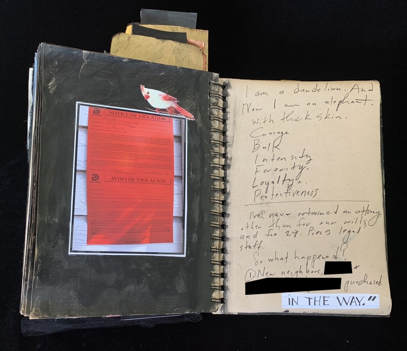 A mixed-media page from a journal or scrapbook featuring a photograph of a notice of violation, a bird illustration, and handwritten notes.