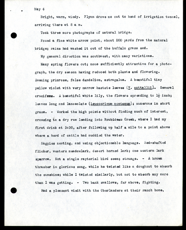 Frank H. Shoemaker typescript, 9 pages, on Wildcat Range and owls, fossils, and lantern slides.