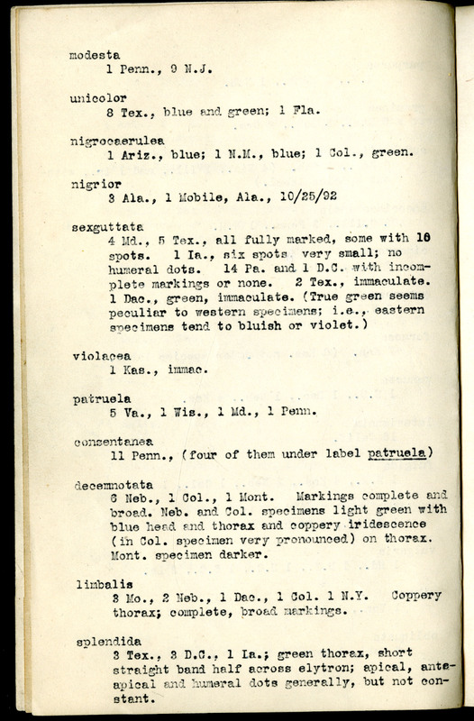 Frank H. Shoemaker typescript, 31 pages, including notes and list on CICINDELIDAE in the Carnegie Museum, Pittsburgh, PN, Nebraska, and his own collection.