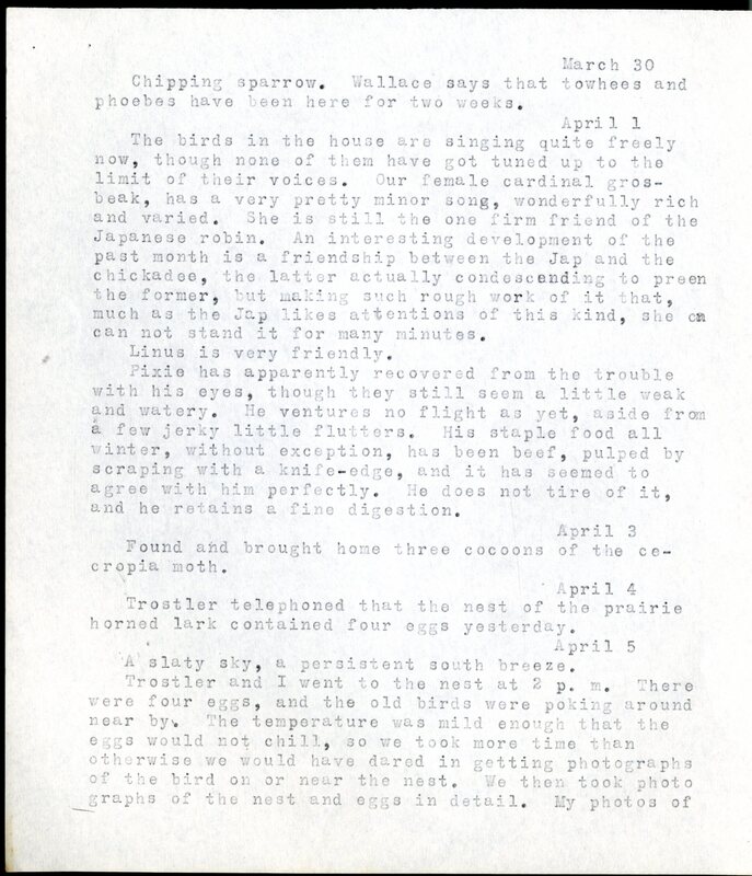 Frank H. Shoemaker typescript, 20 pages, detailing bird sightings, field trips, photography, and associated activities in Omaha, Nebraska.