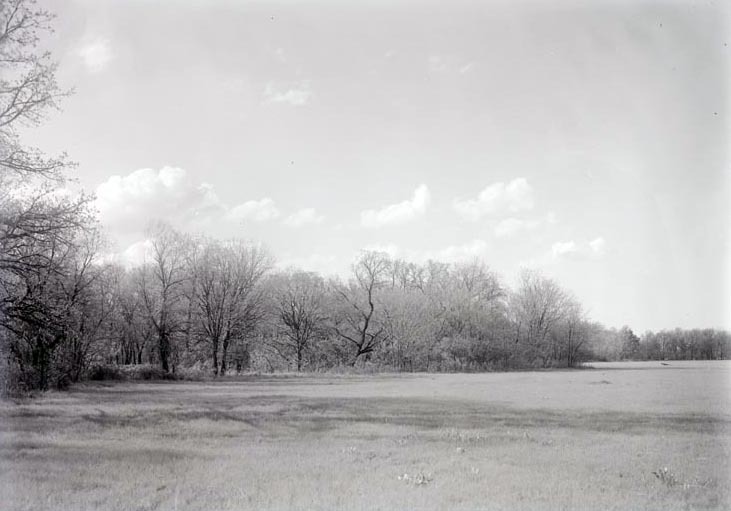Original caption: Roca, the edge of the meadow May 3, 1914