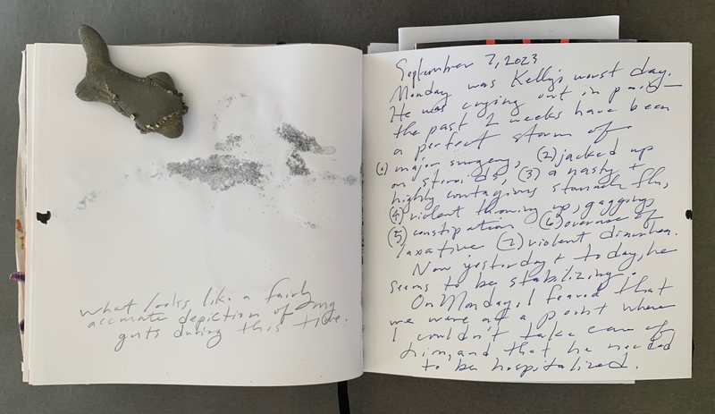 A journal page with handwritten notes and a small, textured object resembling a shark tooth.