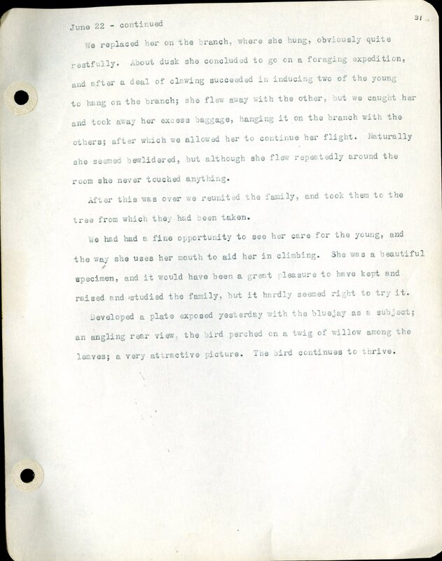 Frank H. Shoemaker typescript, 46 pages, detailing bird sightings, field trips, photography, and associated activities in Omaha, Nebraska.