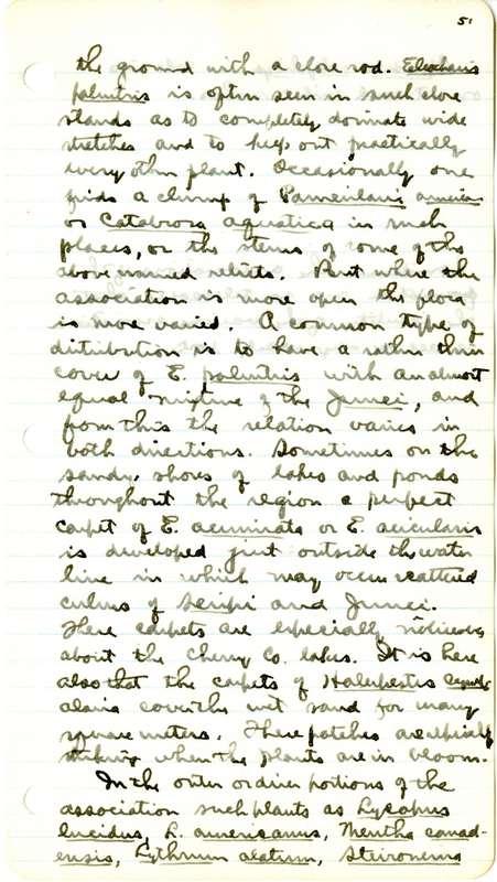 Raymond J. Pool Field Notes and Records