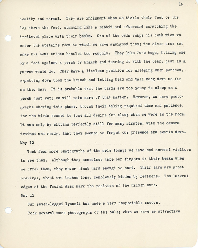 Elizabeth Van Sant transcribed letters