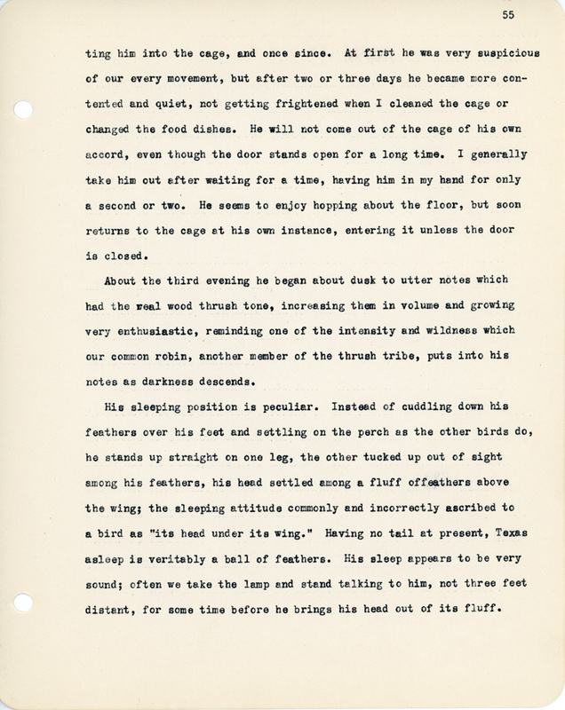 Elizabeth Van Sant transcribed letters