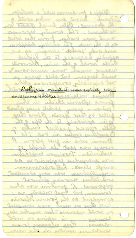 Raymond J. Pool Field Notes and Records