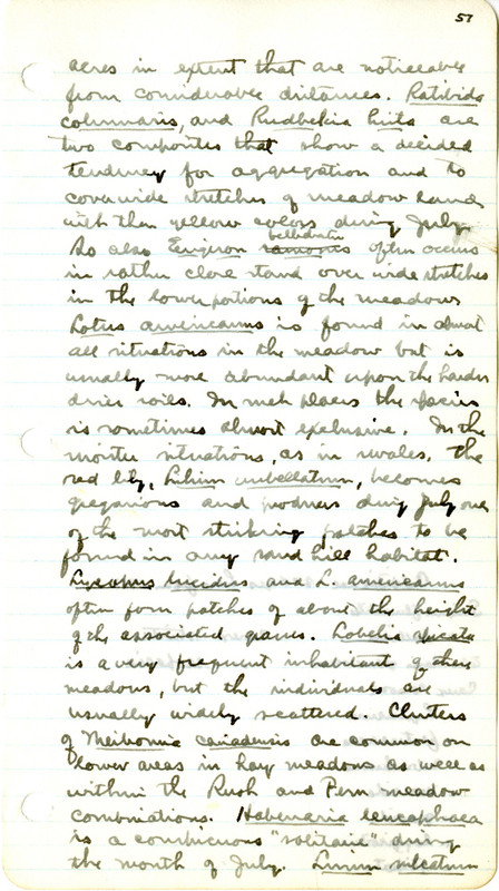 Raymond J. Pool Field Notes and Records