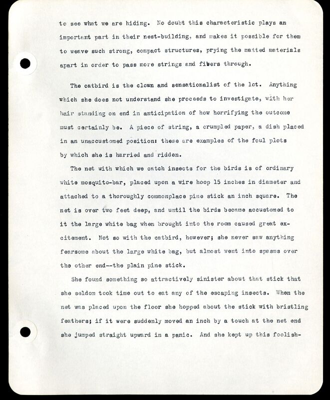 Frank Shoemaker - Omaha, Lincoln, and Nebraska Narratives