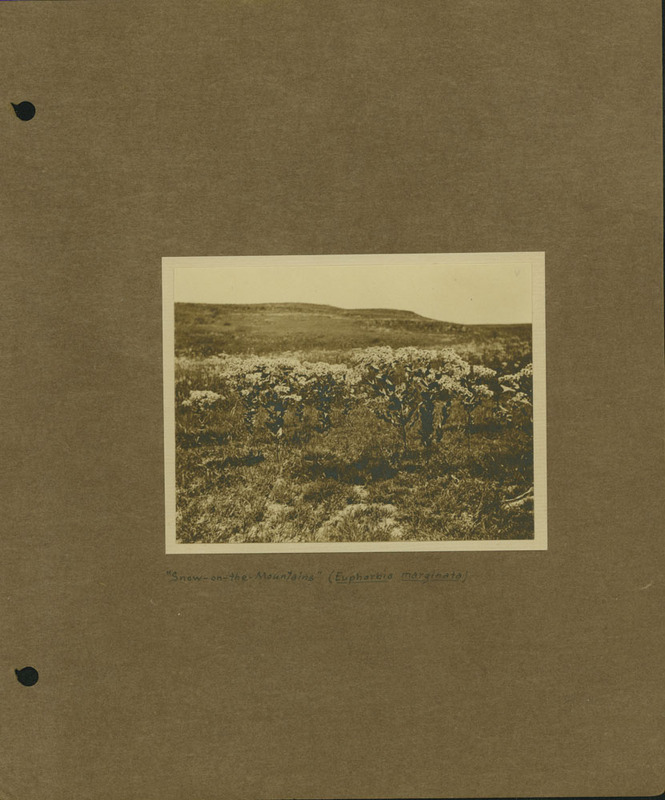 Frank Shoemaker Narratives, Dundy, Hitchcock, Redwillow, Furnas Counties, 1912