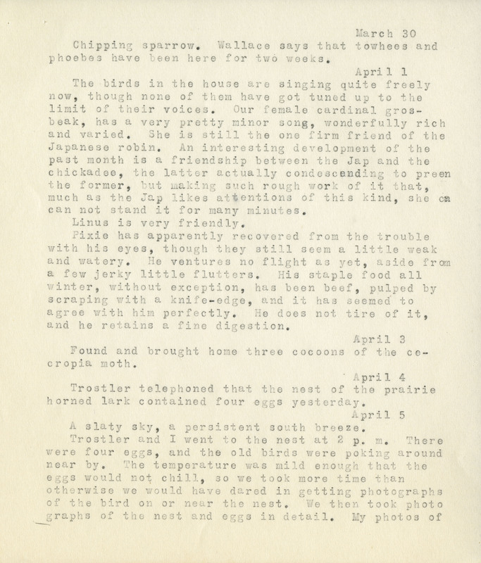 Frank Shoemaker - Omaha, Lincoln, and Nebraska Narratives