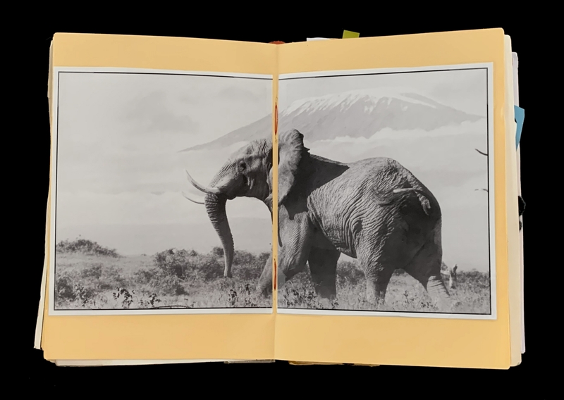 A black-and-white photograph of an elephant in a savanna landscape with a mountain in the background, displayed in an open book.