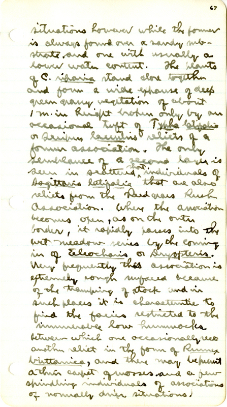 Raymond J. Pool Field Notes and Records