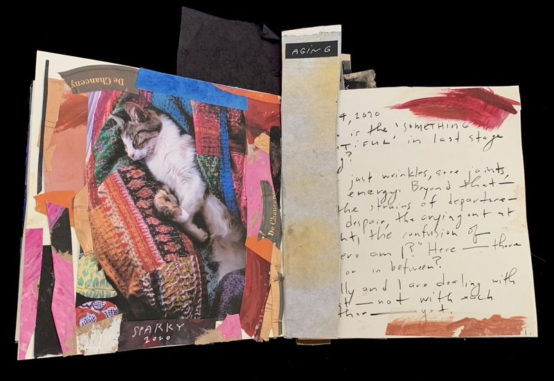 An open journal with a collage featuring a sleeping cat on the left and handwritten notes on the right.