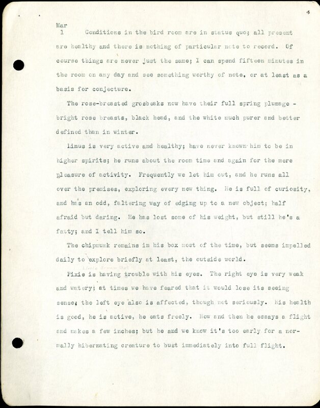 Frank H. Shoemaker typescript, 32 pages, detailing bird sightings, field trips, photography, and associated activities in Omaha, Nebraska.