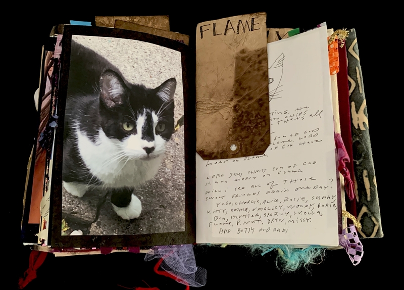 A collage page featuring a photograph of a black and white cat, a handwritten note, and decorative elements.