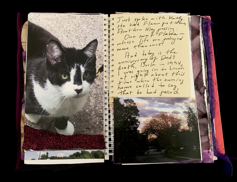 A journal page featuring a photograph of a black and white cat, a handwritten note, and a scenic landscape photo.