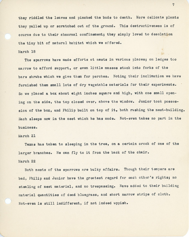 Elizabeth Van Sant transcribed letters