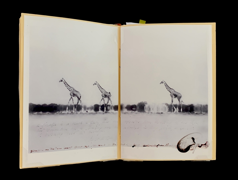 A double-page spread featuring two giraffes in a savanna landscape, accompanied by handwritten text and a doodle.