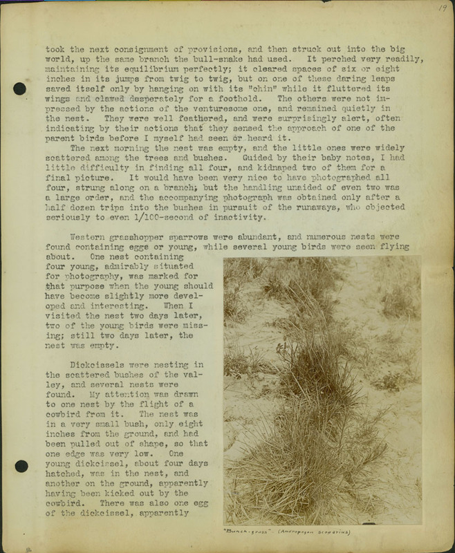 Frank Shoemaker, Narratives, Thomas County, July 3-11, July 27-30, 1911