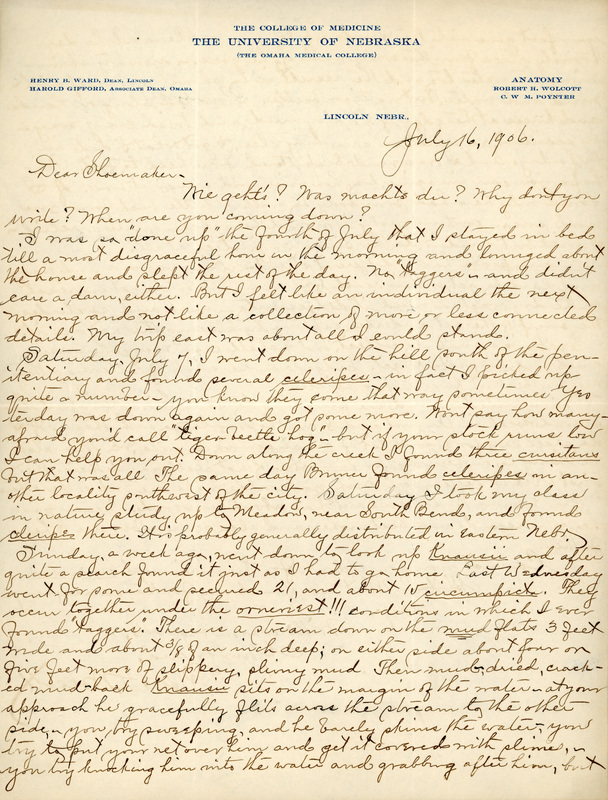 Handwritten letter, 2 pages, from Robert H. Wolcott to Frank H. Shoemaker, "Mie gehts! Was machts due? Why dont you write When are you coming down?"