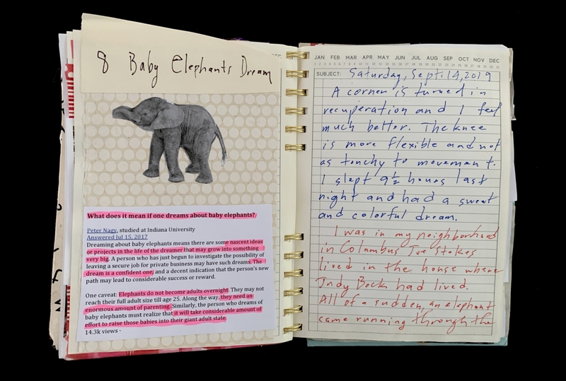 A journal entry dated September 14, 2019, with a note about a dream involving baby elephants and a reference to a dream interpretation.