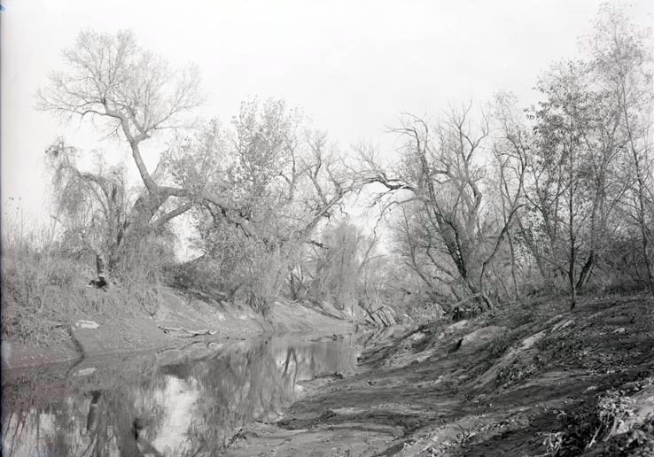 Salt Creek, 2 1/2 miles NE of Havelock. Nov. 8, 1914