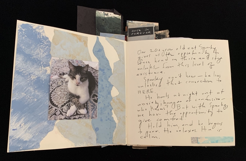 An open scrapbook with a photo of a cat on a blue-painted page and handwritten text on the opposite page.