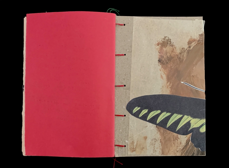 Open book with a red left page and a textured right page featuring an illustration of a butterfly wing.