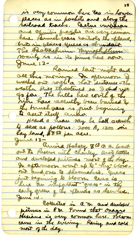 Raymond J. Pool Field Notes and Records
