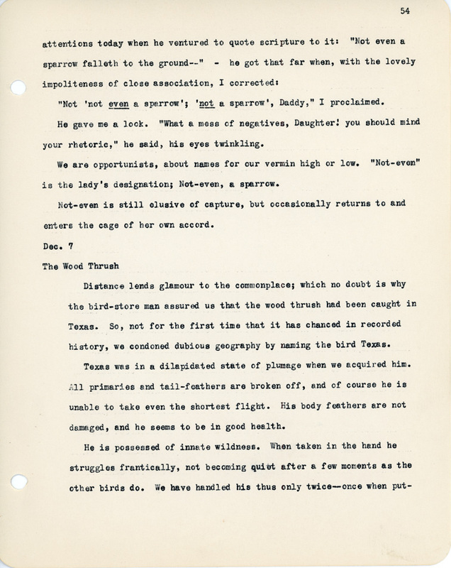 Elizabeth Van Sant transcribed letters