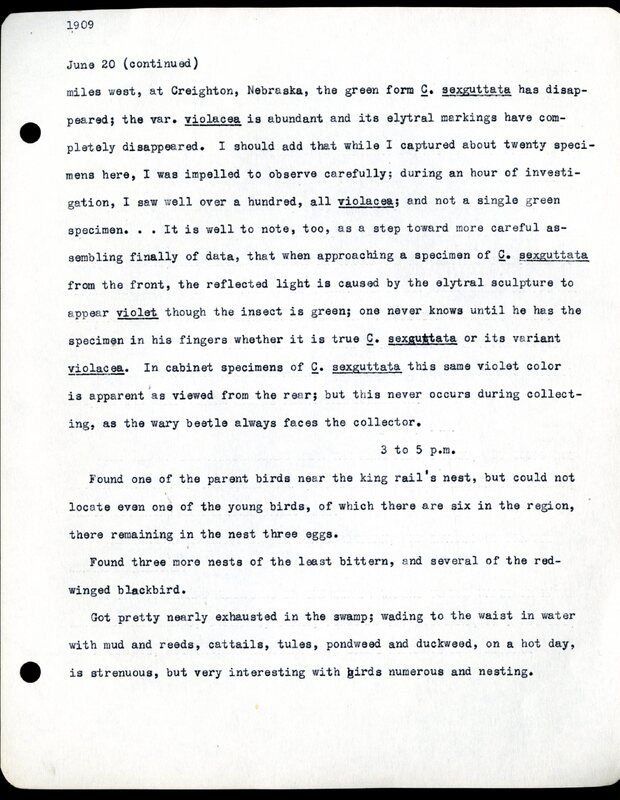 Frank H. Shoemaker typescript, 11 pages, notes and bird lists from field trip at Havelock, Nebraska, and areas surrounding Lincoln, Nebraska
