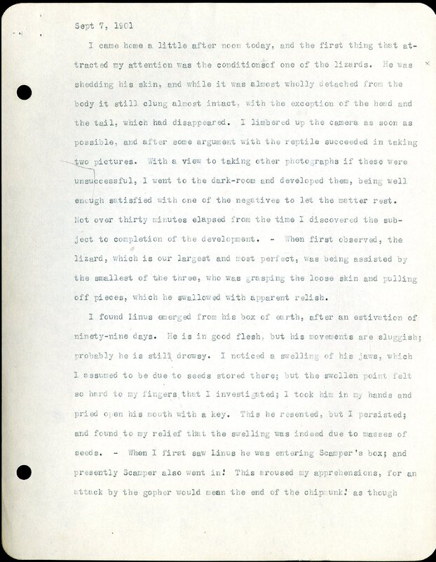 Frank H. Shoemaker typescript, 2 pages, on lizard living in bird room in Omaha home, 2 pages.
