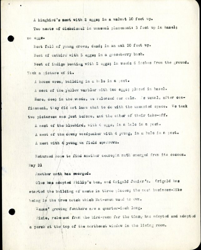 Frank H. Shoemaker typescript, 8 pages, detailing bird sightings, field trips, photography, and associated activities in Omaha, Nebraska.