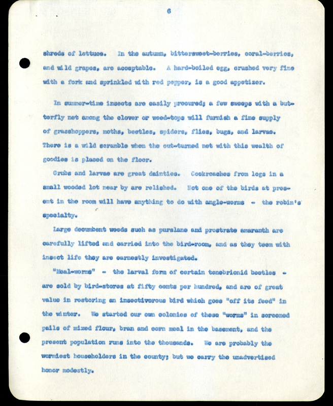 Frank H. Shoemaker typescript narrative, 29 pages,  on the bird room in Omaha home, with details on bird and insects.