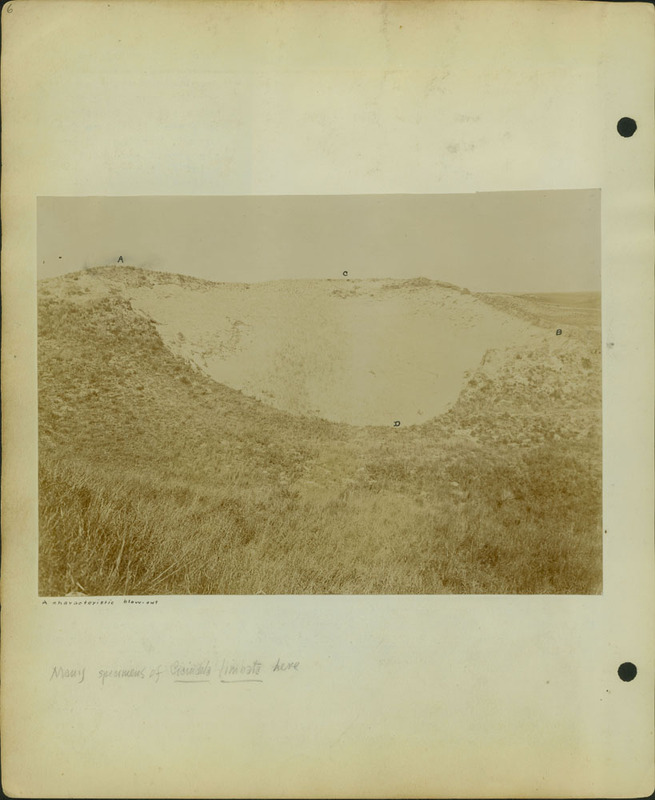 Frank Shoemaker, Narratives, Thomas County, July 3-11, July 27-30, 1911