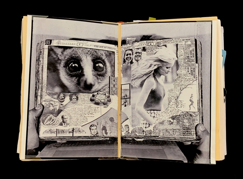 A collage-style page featuring a variety of images, including a close-up of a slow loris, a woman in a bikini, and various other small illustrations and text snippets.