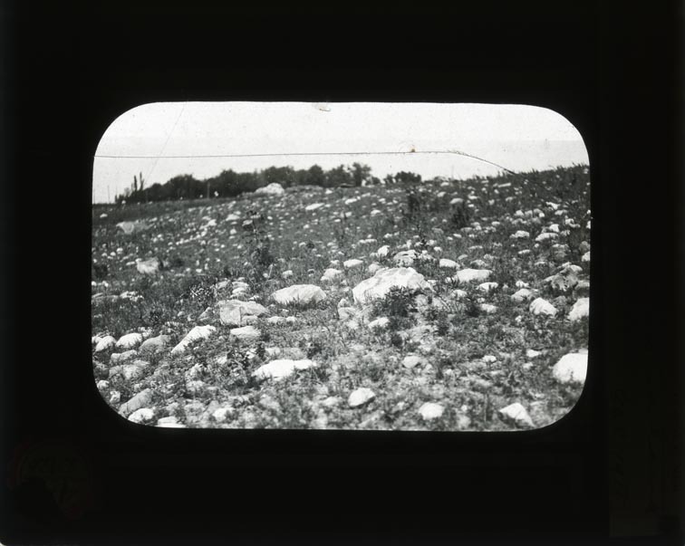 Original caption: Glacial boulders on land so. E. of Table Rock. GEC 1911. Cass County. (121111-00320)