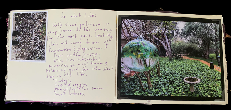A journal entry page featuring handwritten notes and a photograph of a garden.