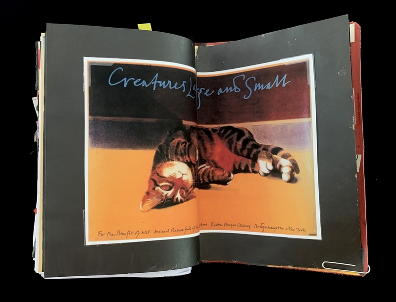 A photograph of a cat lying down, with handwritten text above it.