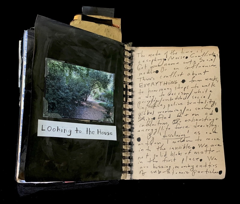 A journal page featuring a photograph of a forest path and handwritten text discussing modern societal issues.