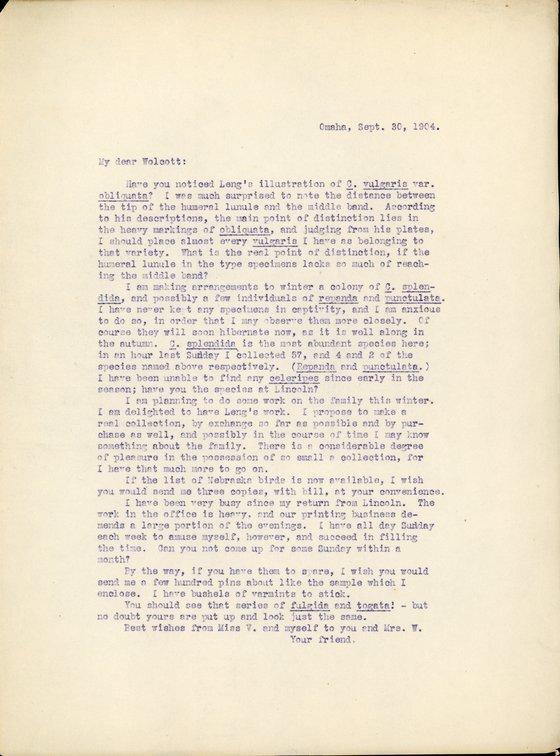 Typewritten letter, 1 page, from Frank H. Shoemaker to Robert H. Wolcott, "Have you noticed Leng's illustration of C. vulgaris var. obliquata? I was much surprised to note the distance between the tip of the humeral lunule and the middle band."